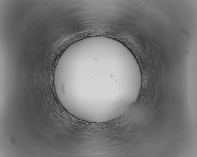 X0000111150773200906301036