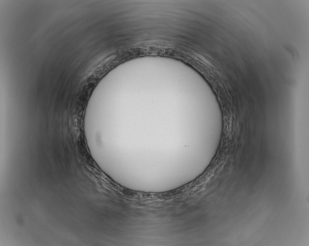 X0000111150774200906301036