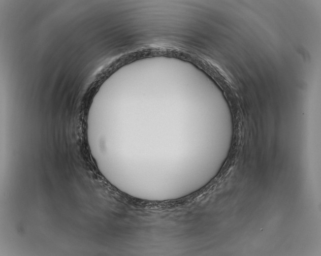 X0000111150776200906301036