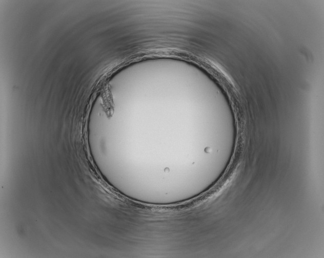 X0000111150777200906301036