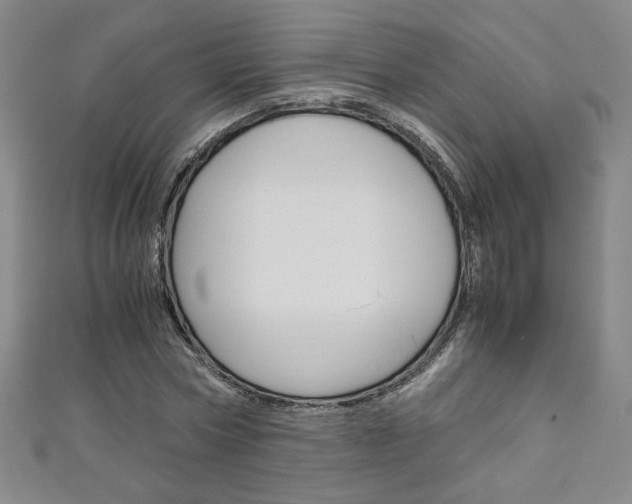 X0000111150778200906301036