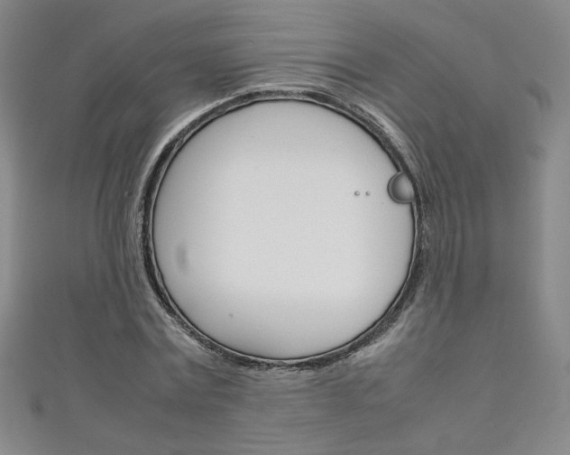 X0000111150779200906301036