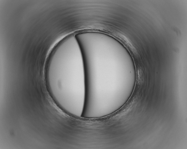 X0000111150780200906301036
