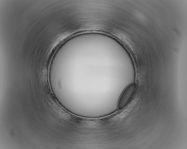 X0000111150781200906301036