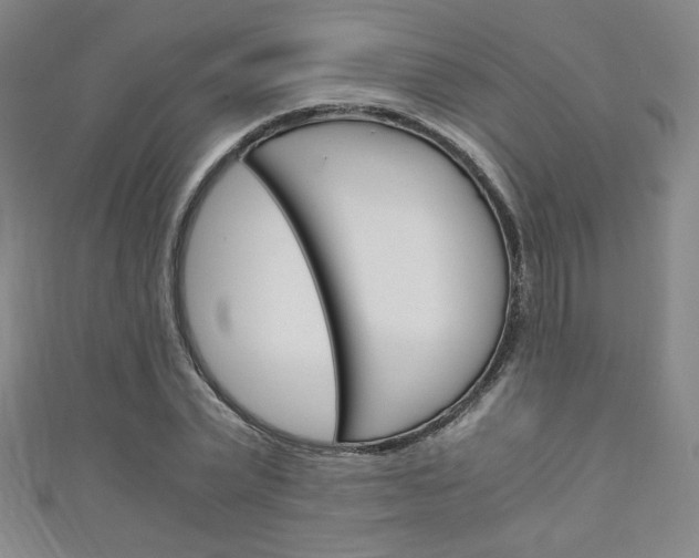 X0000111150783200906301036