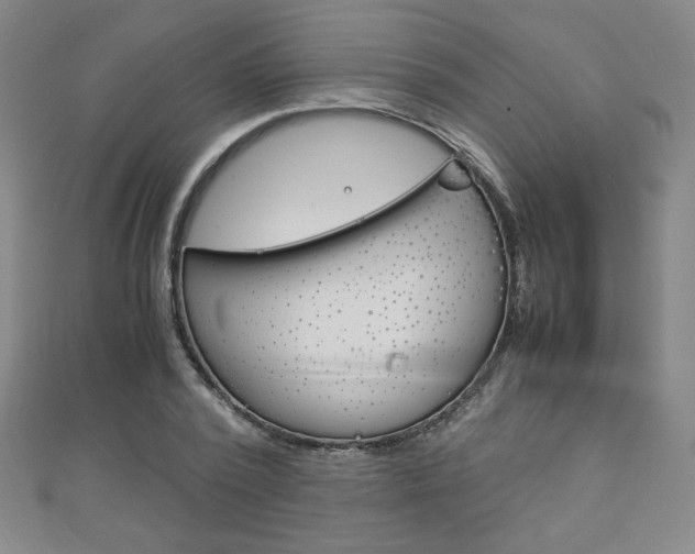 X0000111150784200906301036