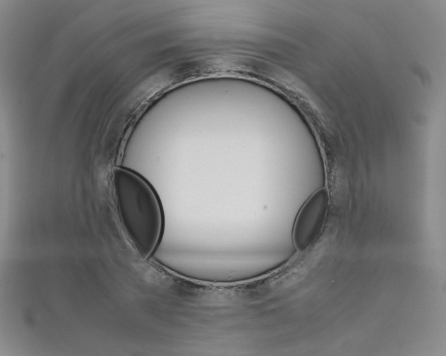 X0000111150785200906301036