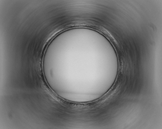 X0000111150786200906301036