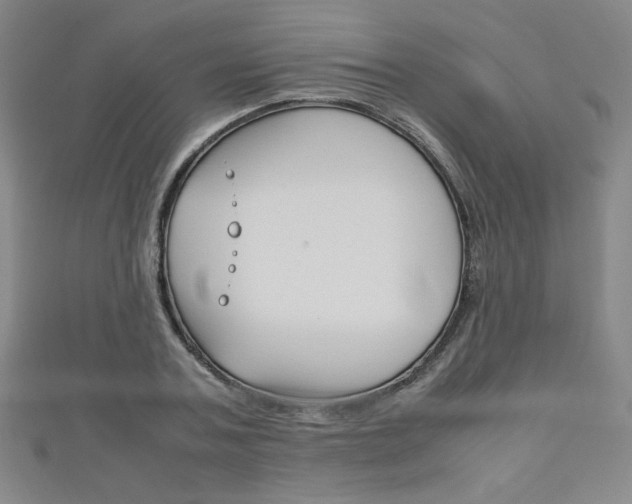 X0000111150787200906301036