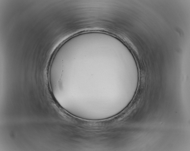 X0000111150789200906301036