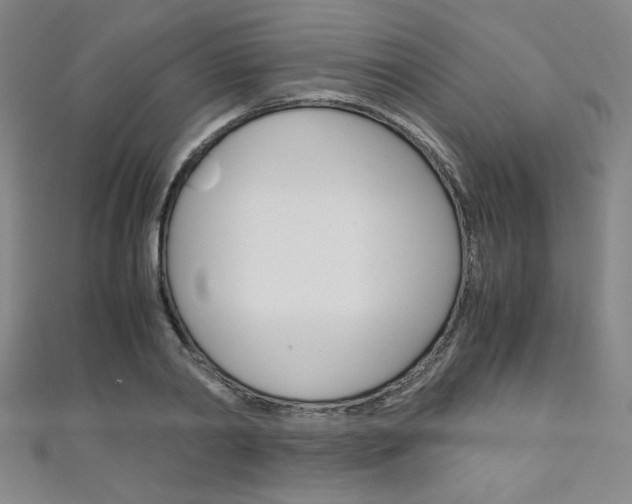X0000111150790200906301036