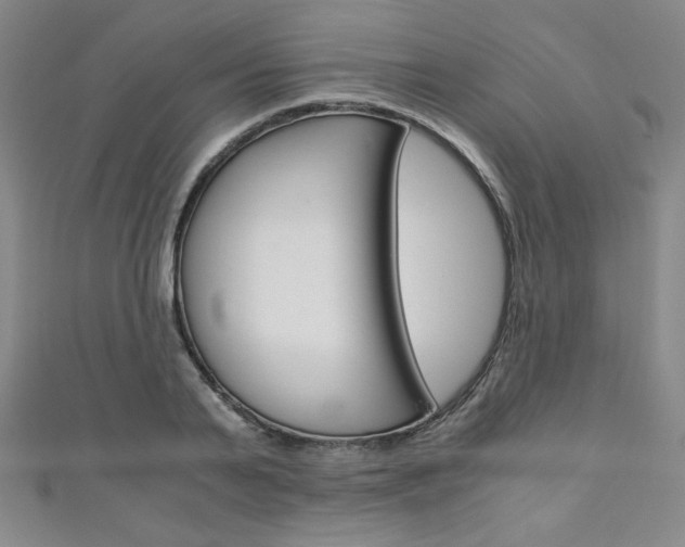 X0000111150791200906301036