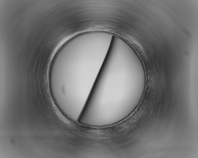 X0000111150792200906301036