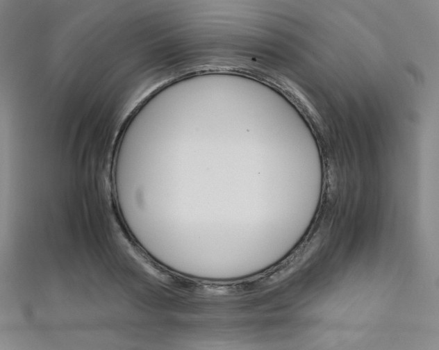 X0000111150794200906301036
