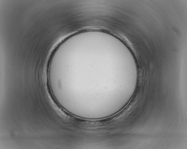 X0000111150795200906301036