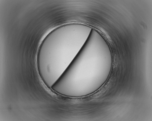 X0000111150796200906301036