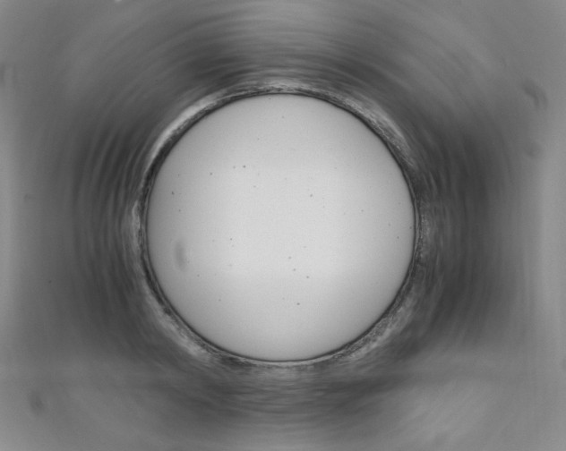 X0000111150798200906301036
