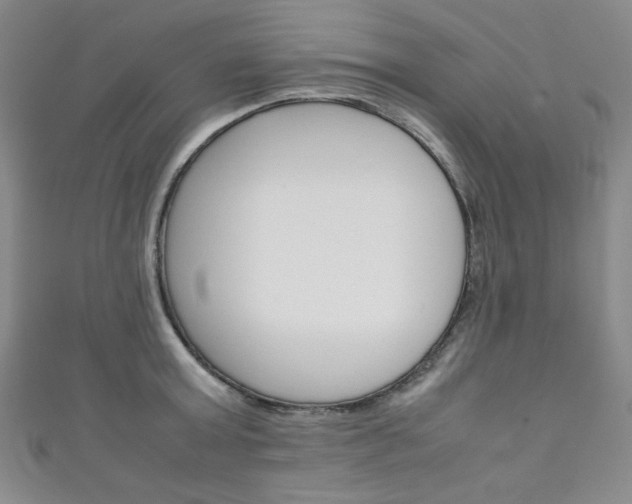 X0000111150803200906301036
