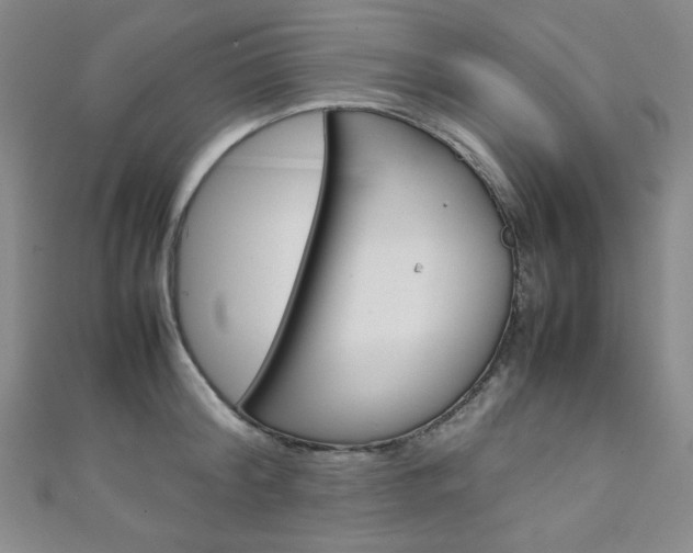 X0000111150804200906301036