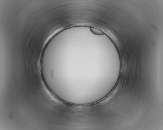 X0000111150806200906301036