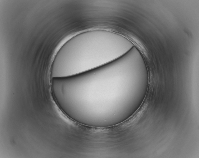 X0000111150808200906301036