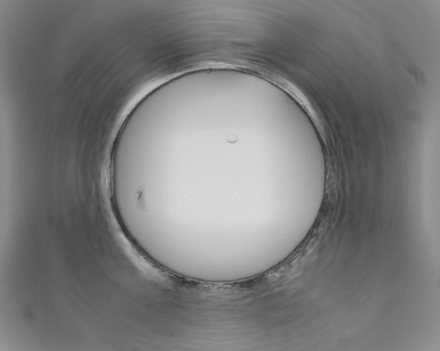 X0000111150811200906301036