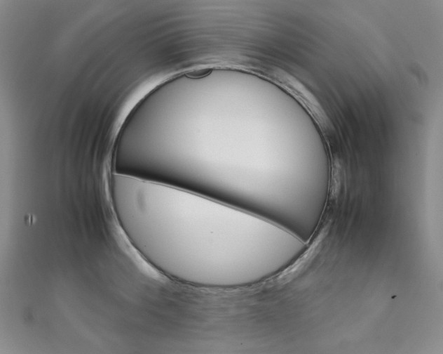 X0000111150812200906301036