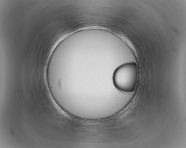 X0000111150813200906301036
