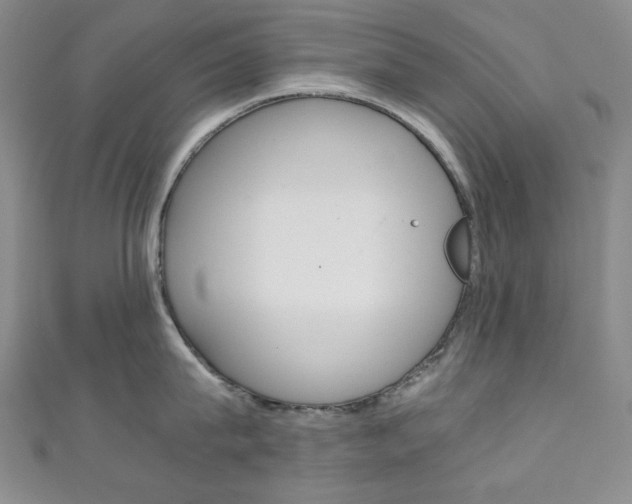 X0000111150815200906301036
