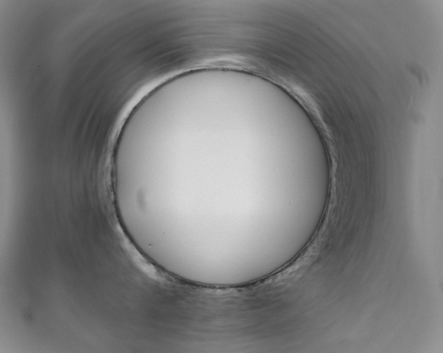 X0000111150816200906301036