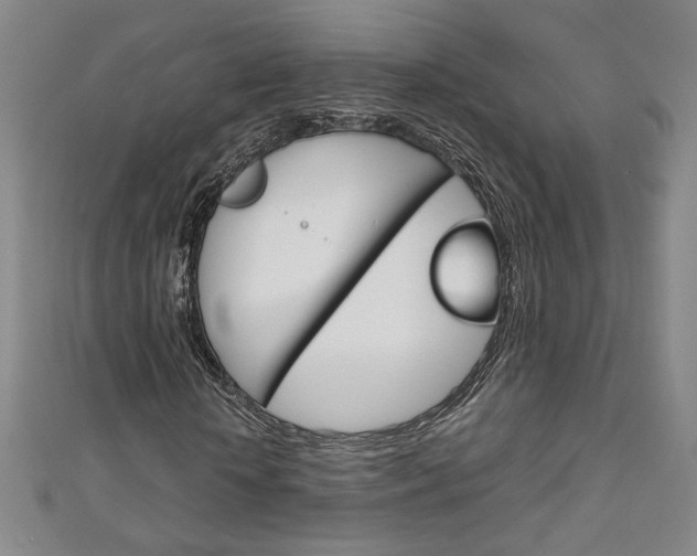 X0000111150818200906301035