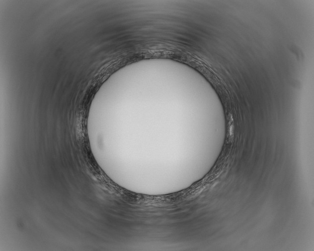 X0000111150819200906301035