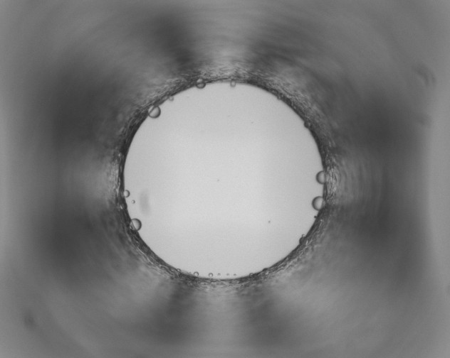 X0000111150820200906301035