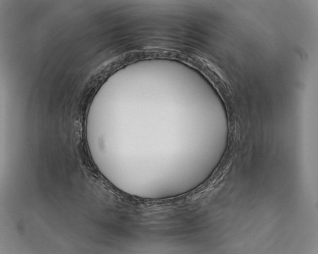 X0000111150821200906301035