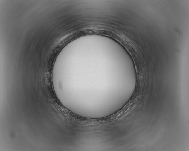 X0000111150822200906301035