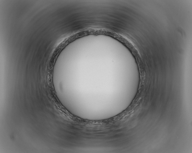 X0000111150823200906301035