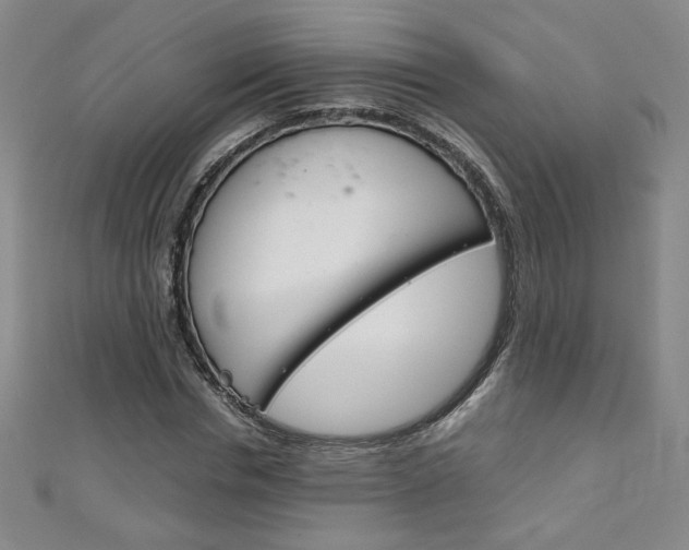 X0000111150826200906301035