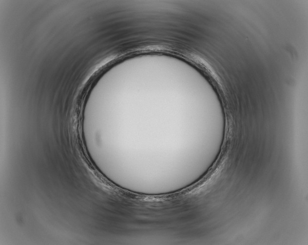 X0000111150827200906301035