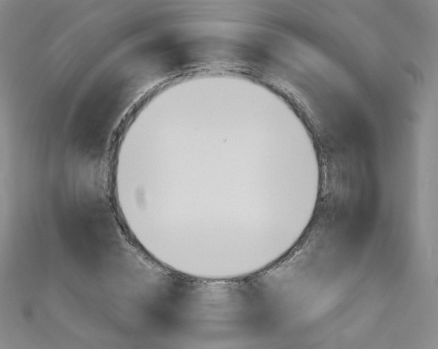 X0000111150828200906301035