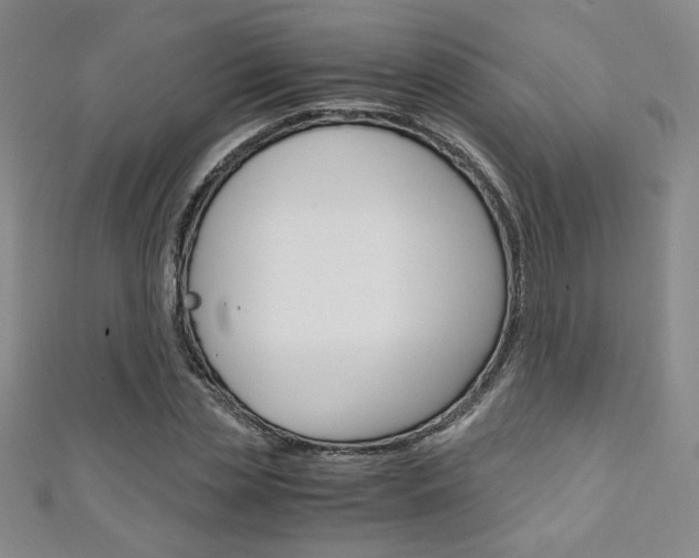 X0000111150829200906301035