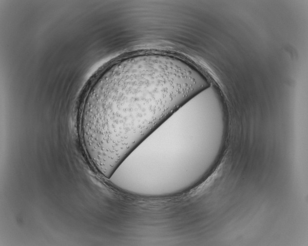 X0000111150830200906301035