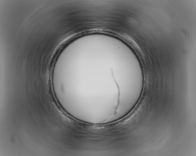 X0000111150831200906301035
