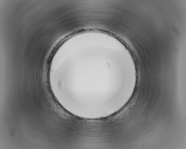 X0000111150832200906301035