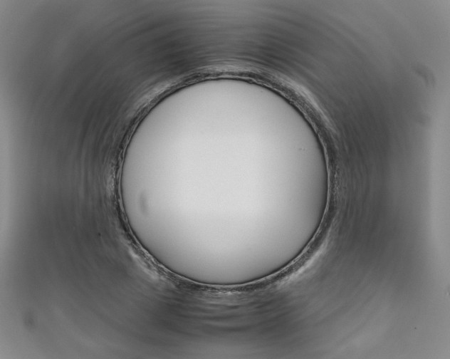 X0000111150833200906301035