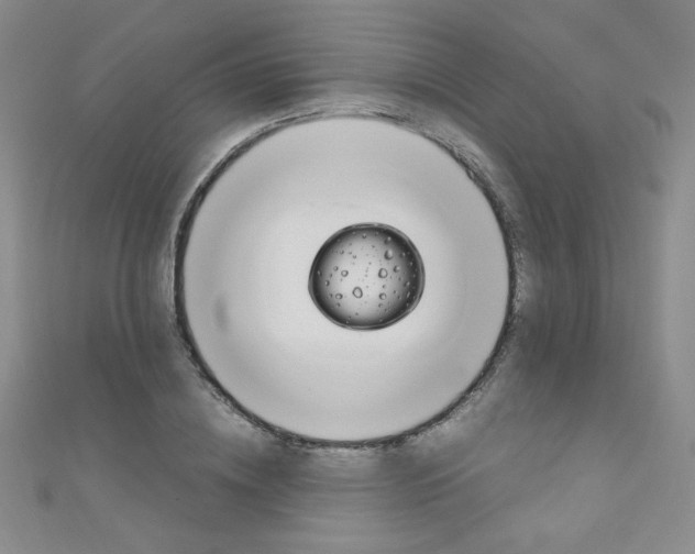 X0000111150836200906301035