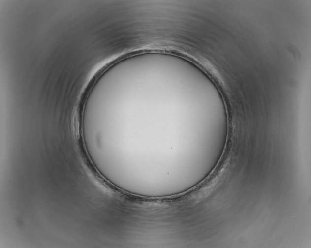 X0000111150838200906301035
