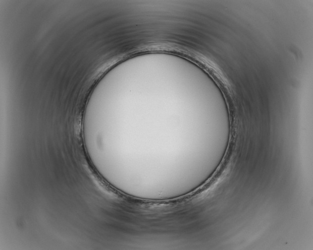 X0000111150841200906301036