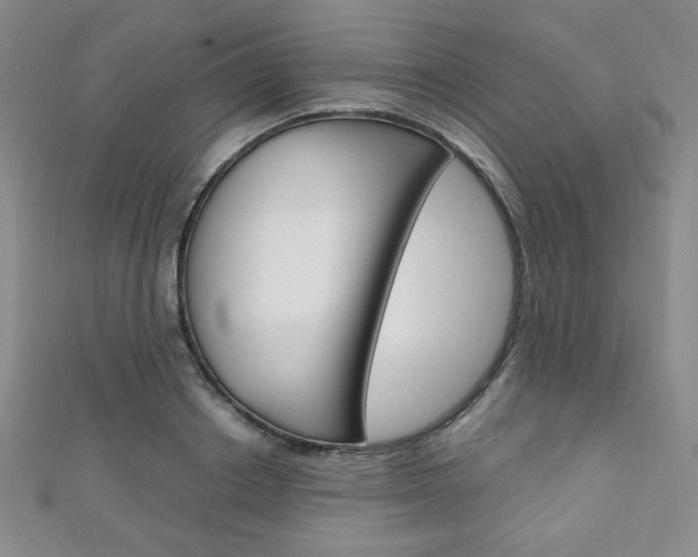 X0000111150842200906301036