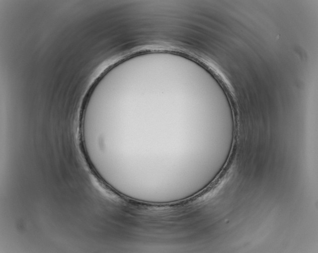 X0000111150845200906301036