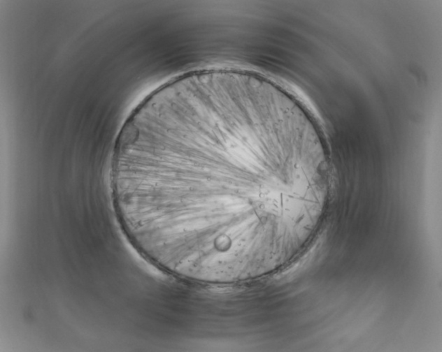 X0000111150847200906301036